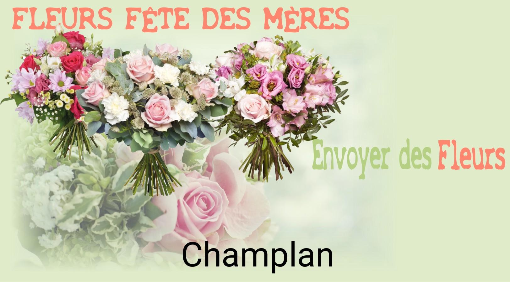 Bouquet de Fête des Mères livré à Champlan